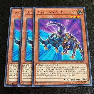 リバーシブル・ビートル ノーマル