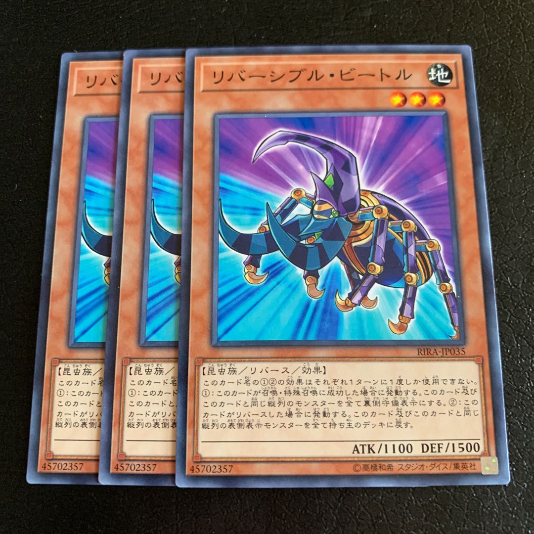 リバーシブル・ビートル ノーマル