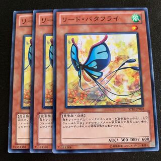 リード・バタフライ ノーマル