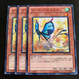 リード・バタフライ ノーマル