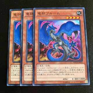 竜胆ブルーム ノーマル