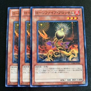 ローンファイア・ブロッサム ノーマル