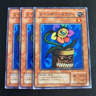 レインボー・フラワー