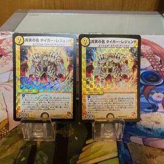 真実の名 タイガー・レジェンド VR