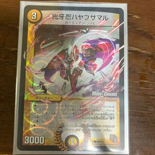 ハヤブサマル MC