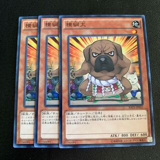 横綱犬 ノーマル