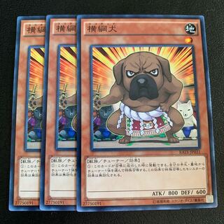 横綱犬 ノーマル