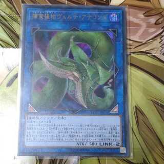 捕食植物ヴェルテ・アナコンダ