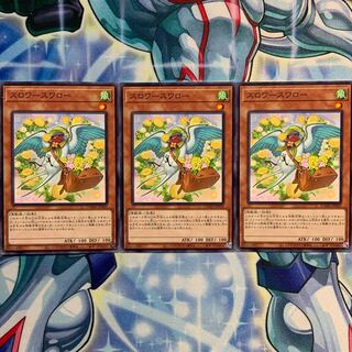 【N】スロワースワロー 3枚 DAMA-JP029