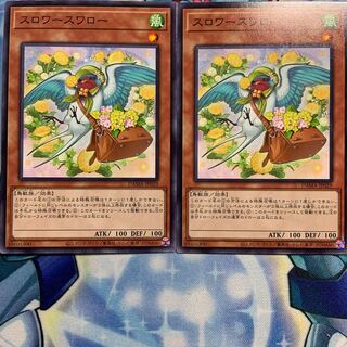 【N】スロワースワロー 2枚 DAMA-JP029