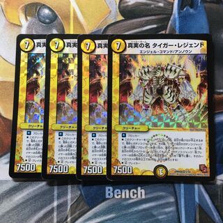 真実の名 タイガー・レジェンド VR