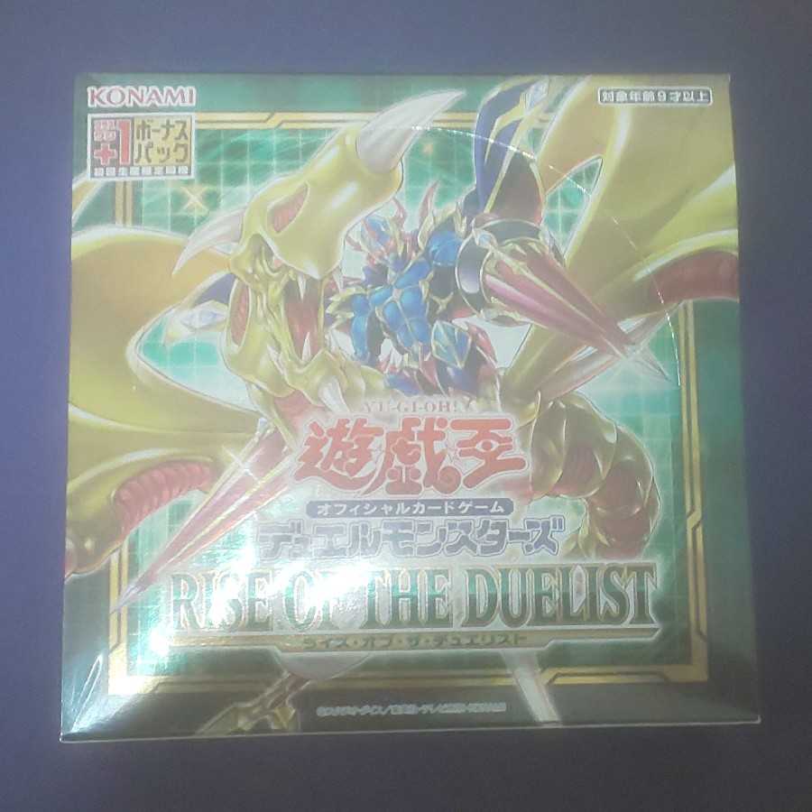 RISE OF THE DUELIST