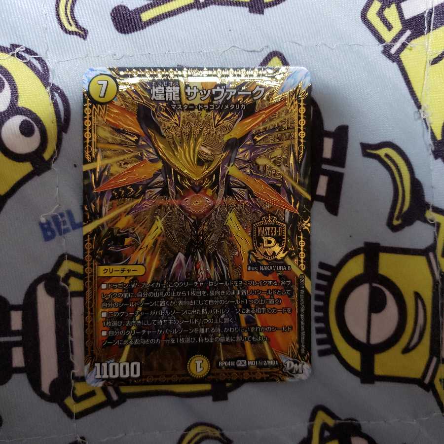 煌龍サッヴァーク