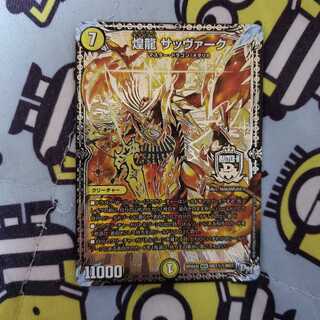 煌龍 サッヴァーク SE