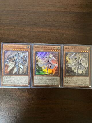 教導の聖女エクレシア 教導の騎士フルルドリス スーパー