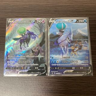 こくば、はくばバドレックスV SR  2枚セット