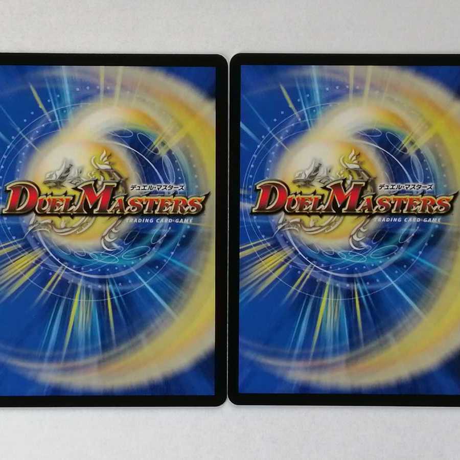 龍風混成 ザーディクリカ 2枚セット