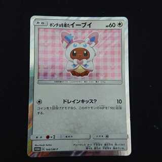 ポンチョを着たイーブイ PROMO