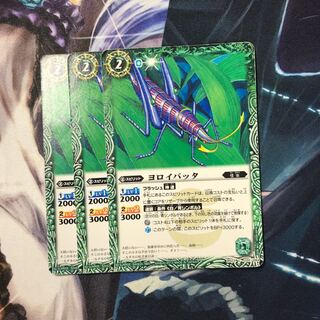 ヨロイバッタ 3枚