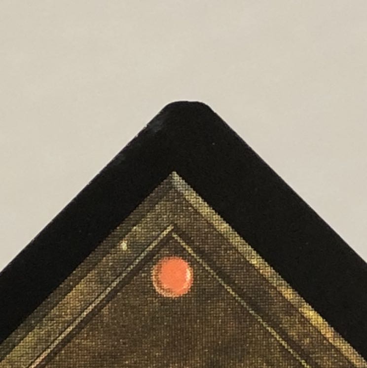 貴族の教主　日本語