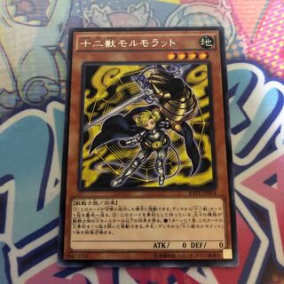 十二獣モルモラット レア