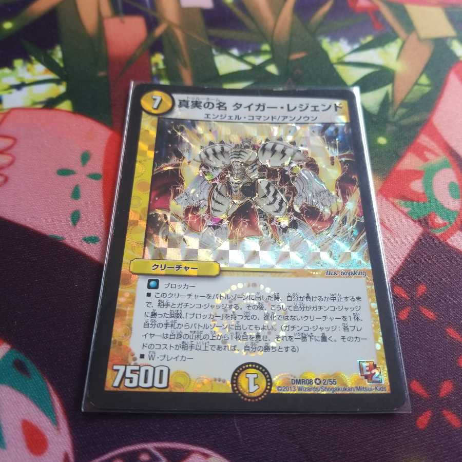 真実の名 タイガー・レジェンド