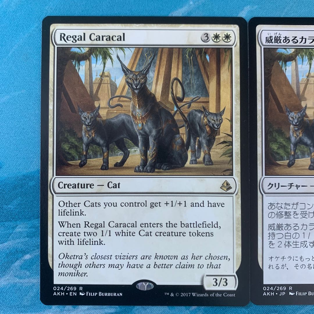 威厳あるカラカル/Regal Caracal PSA 10 威厳あるカラカル/Regal