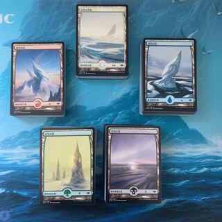 MTG Snow-capped Land Japanese Modern Horizon