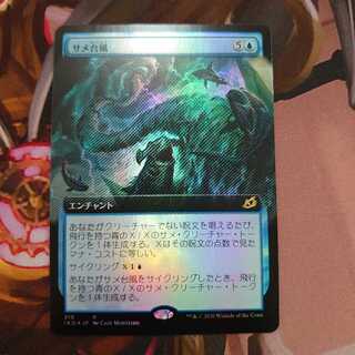 サメ台風 拡張 Foil 2セット