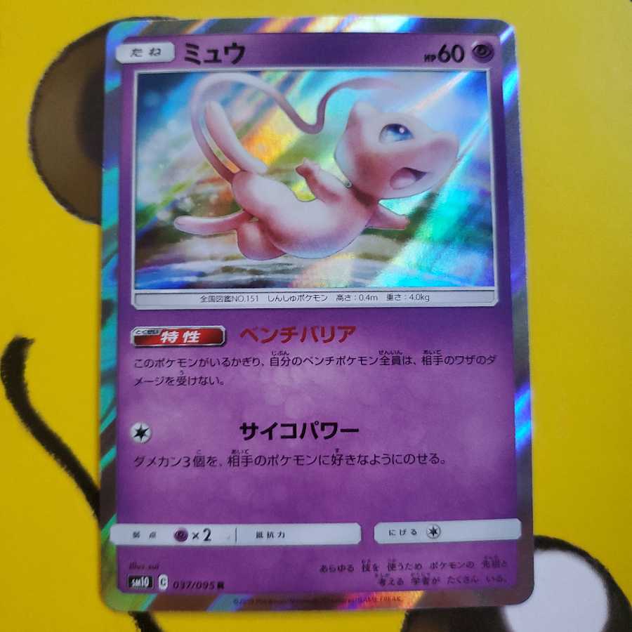 ミュウ ベンチバリア ①