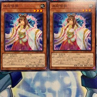 【N】木花咲弥 2枚 DAMA-JP027