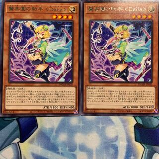 【R】驚楽園の助手 <Delia> 2枚 DAMA-JP020