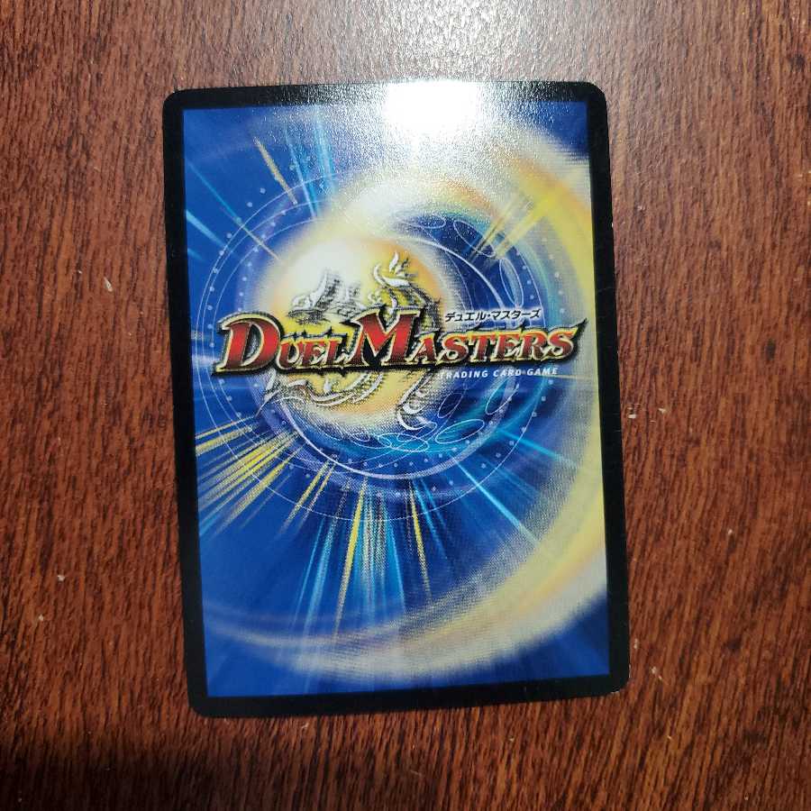 (最安値)目的不明の作戦