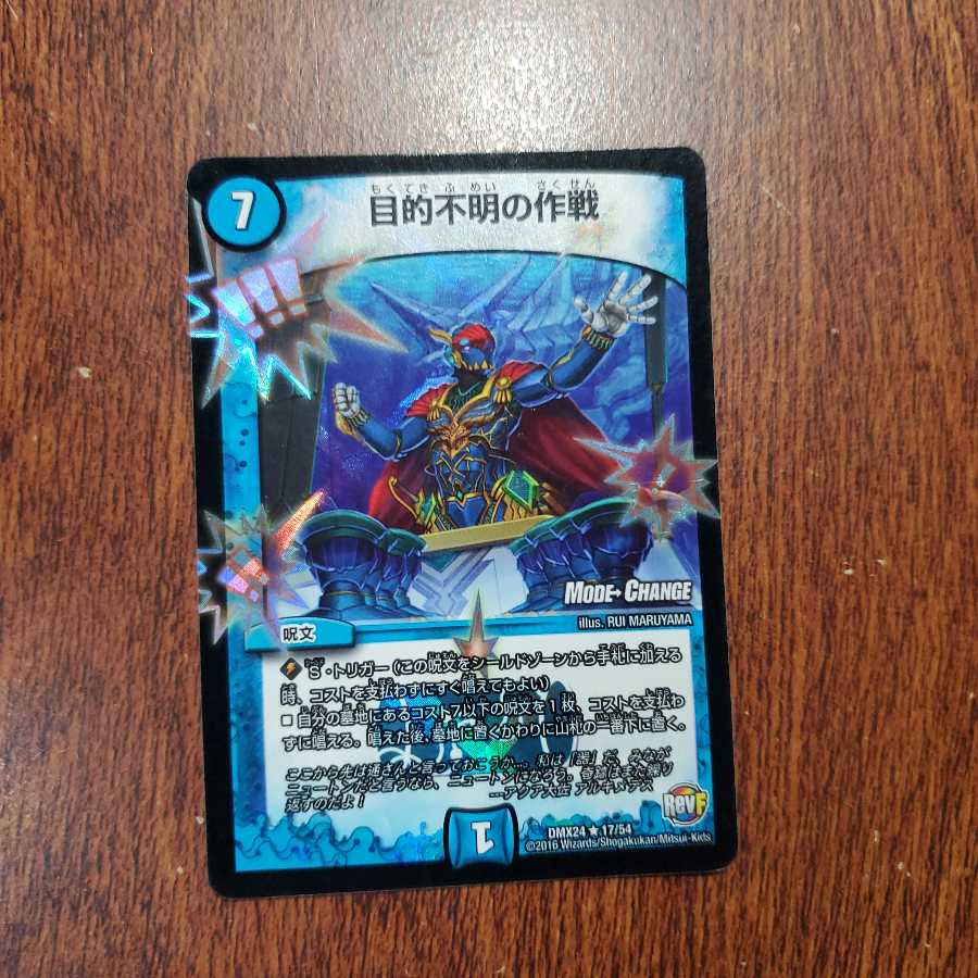 (最安値)目的不明の作戦