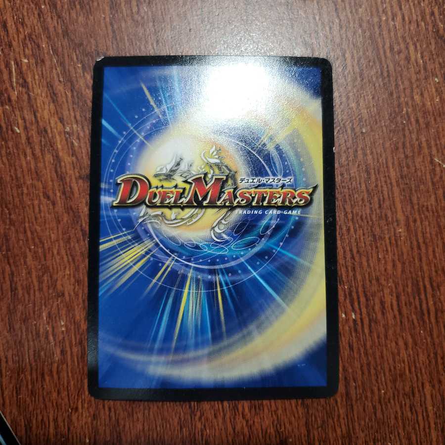 (最安値)目的不明の作戦