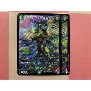 ガンヴィー龍樹 2枚