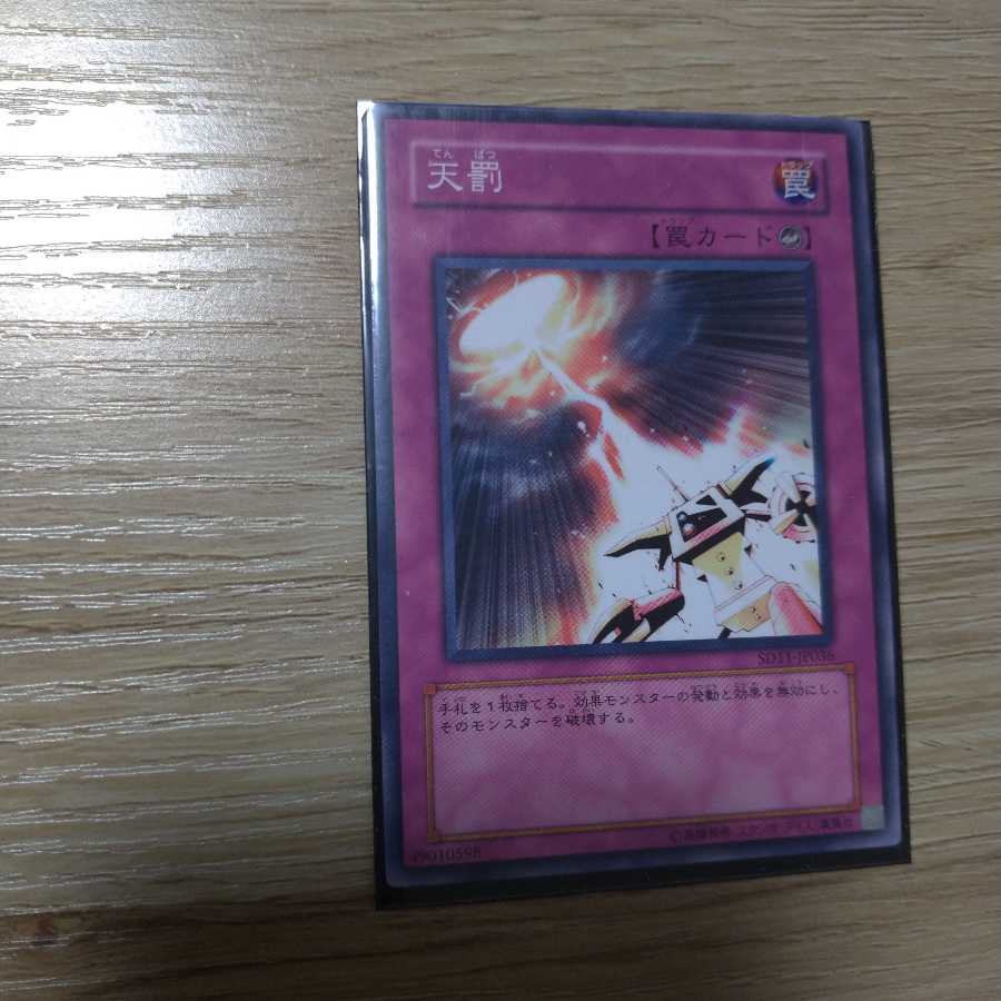 【同時購入価格30円】天罰