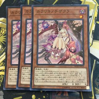 マドレース1524カクリヨノチザクラ スーパーレア