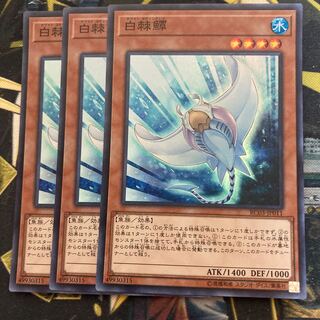 マドレース1930ホワイト・スティングレイ スーパーレア