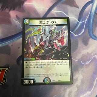 天災 デドダム 1枚