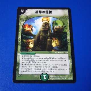 運命の選択　1枚【管理記号1025】