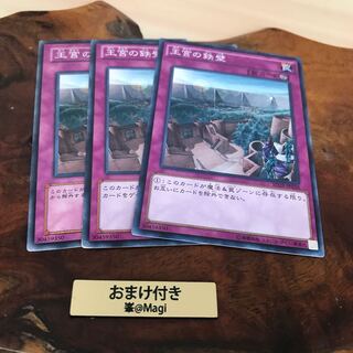 王宮の鉄壁　ノーマル