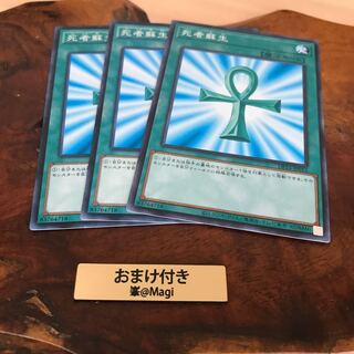 死者蘇生　ノーマル