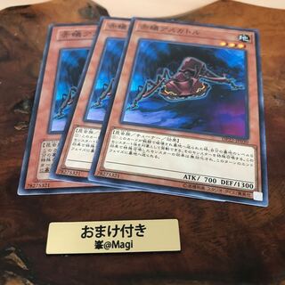 赤蟻アスカトル ノーマル