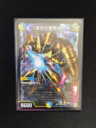 「雷光の聖騎士」