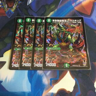 革命類侵略目パラスキング