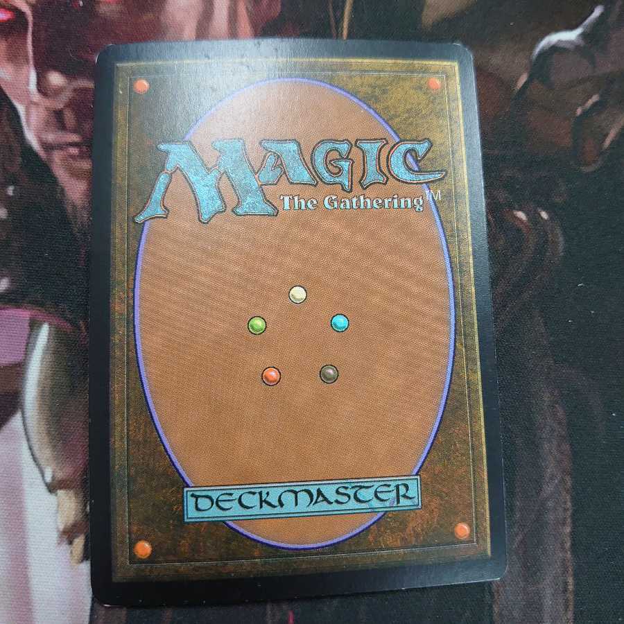 Misty Rainforest Foil