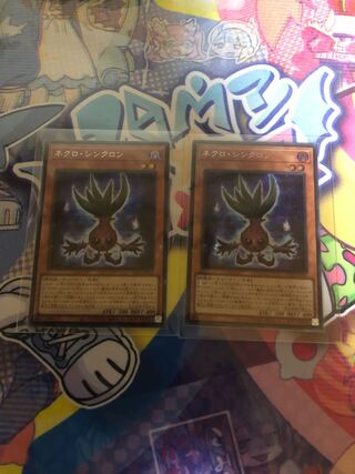 焔灼様専用　ネクロシンクロン　シク　２枚