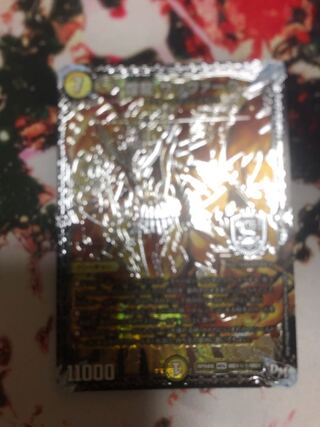 煌龍 サッヴァーク