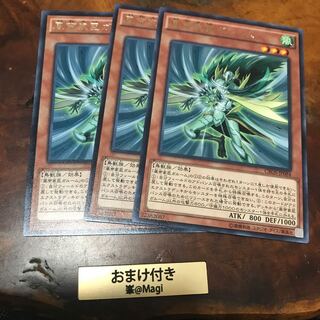 風帝家臣ガルーム レア